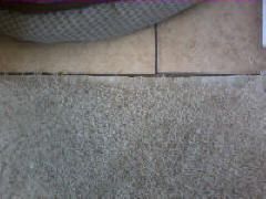 Damaged carpet in need of repair